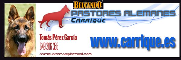 carrique01