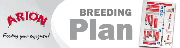 BannerArionSept