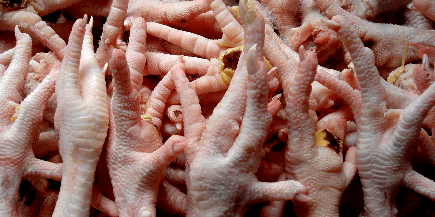 ProteinaPatasPollo