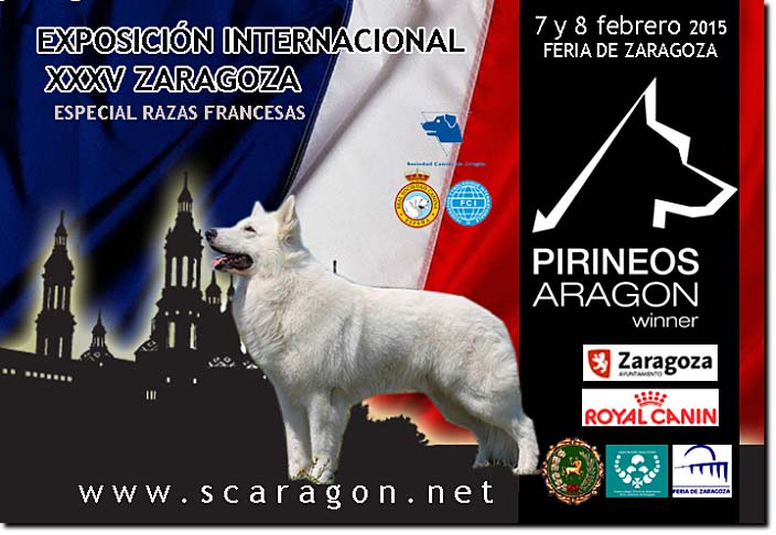 CartelZaragoza