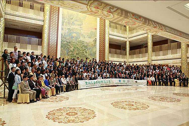 China2016-3
