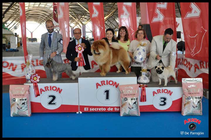 CastellonBISint16
