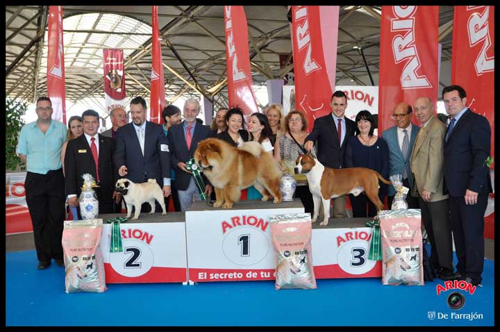CastellonBISnac16