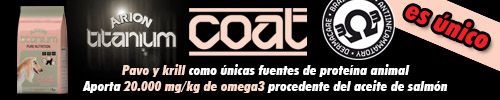 banner_arion_27octubre2016
